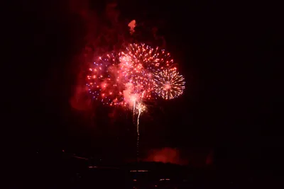 DSC_3429 (Large).JPG